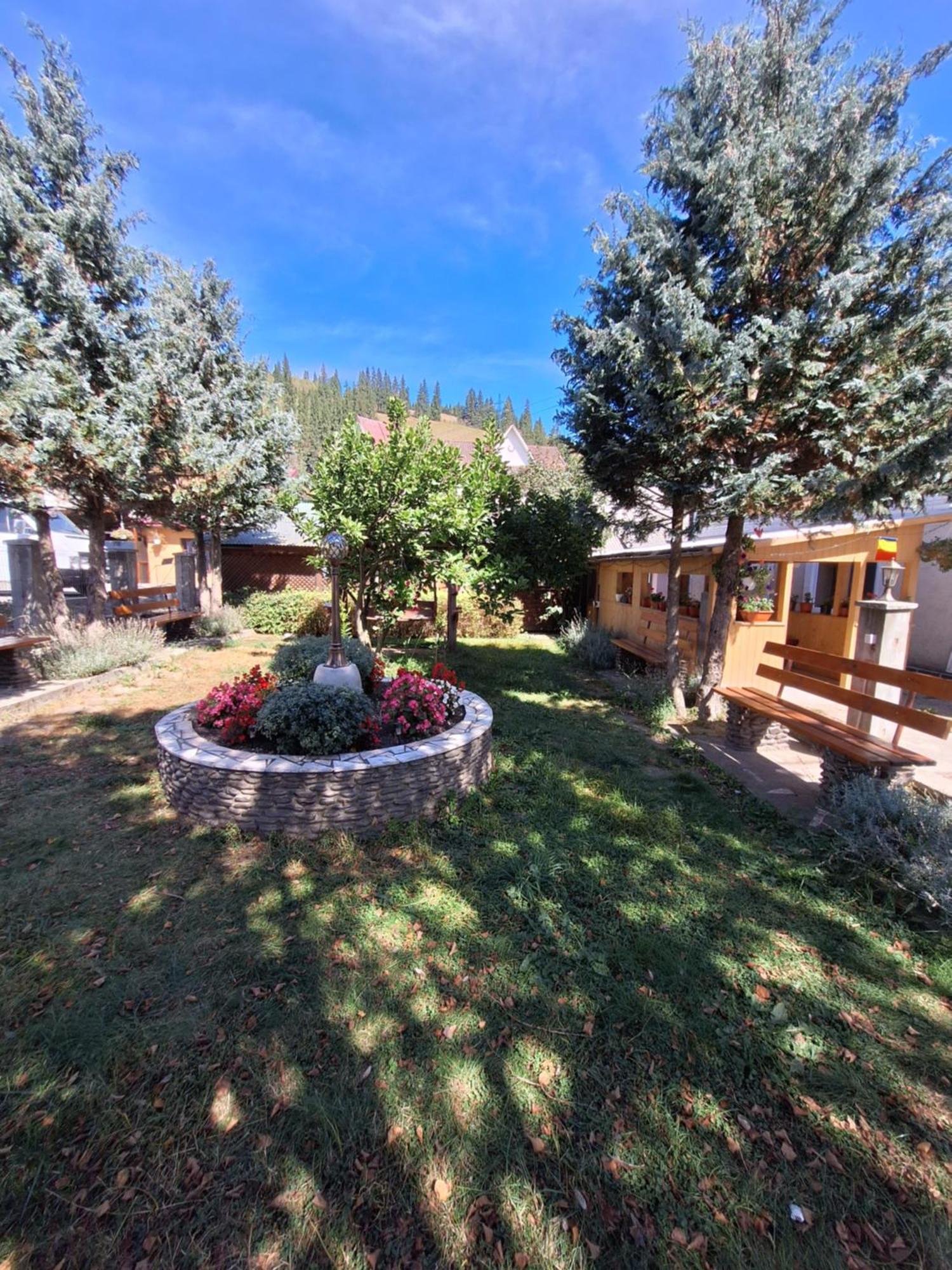 Casa Cu Lavanda Vatra Dornei Exterior photo